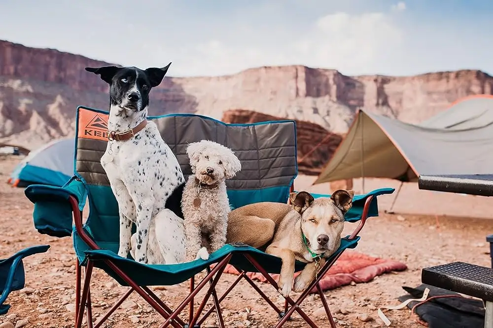 Kelty Low Loveseat