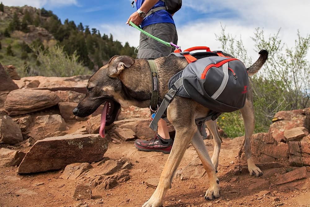 Mountainsmith K 9 Pack