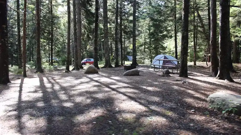 Blackwoods Campground Acadia National Park