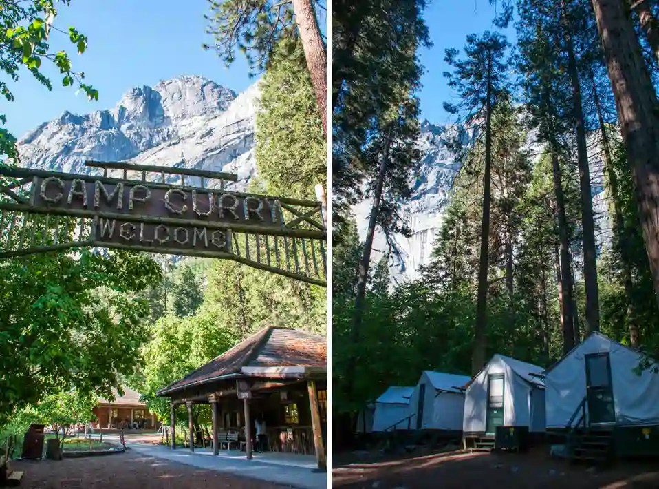 Curry Village Campground Yosemite National Park