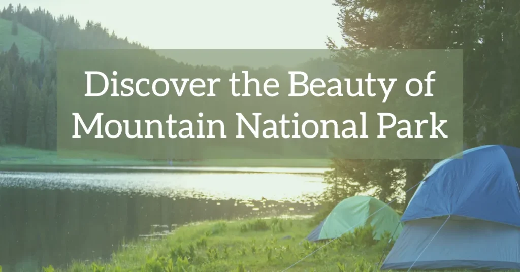 Discover the Beauty of Mountain National Park