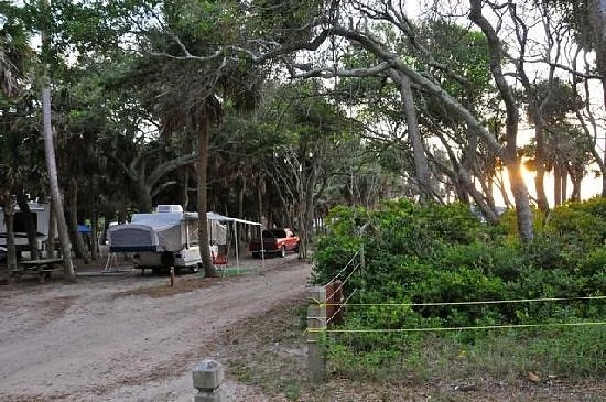 Edisto Beach State Park South Carolina Beachfront Campsites