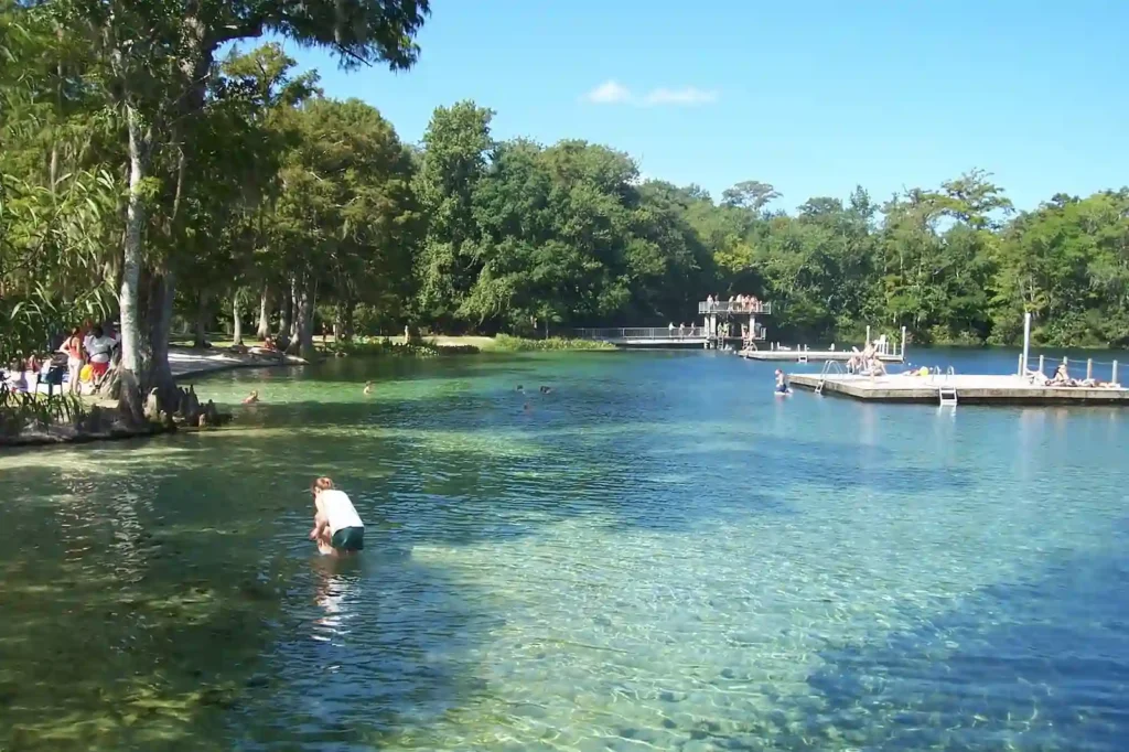 Edward Ball Wakulla Springs State Park Florida Forest Campgrounds