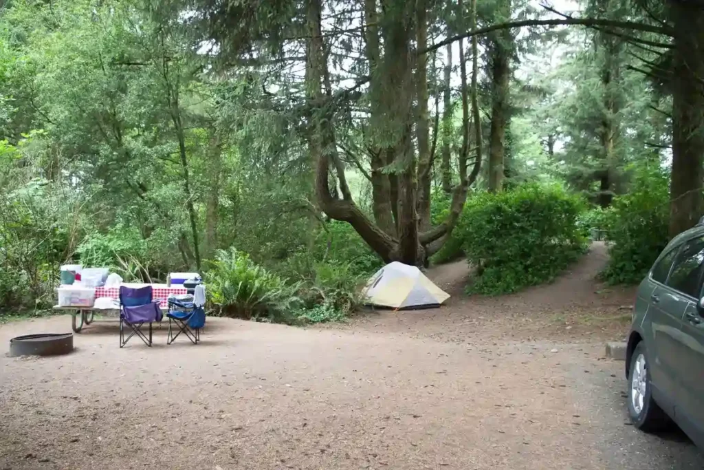 Harris Beach State Park Oregon Beachfront Campsites