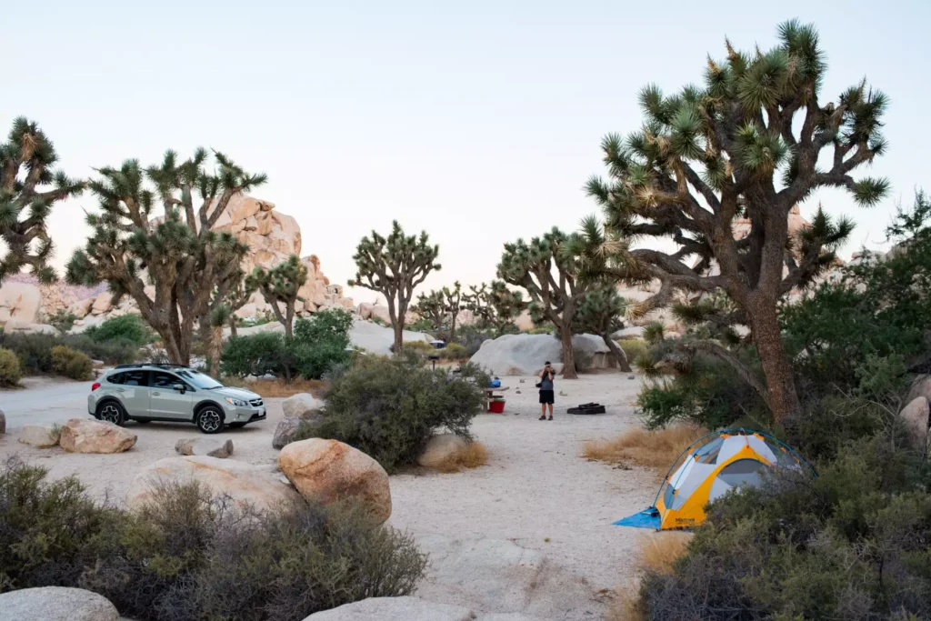 Joshua Tree National Park Desert Campgrounds 3