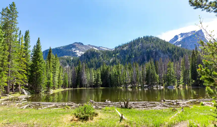 Moraine Park Campground Rocky Mountain National Park