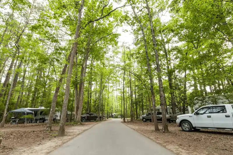 Myrtle Beach State Park South Carolina Beachfront Campsites