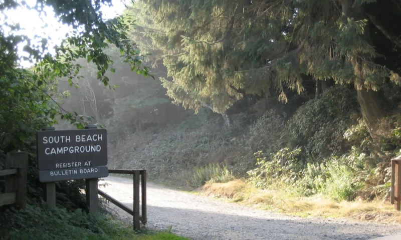 South Beach Campground Washington Beachfront Campsites