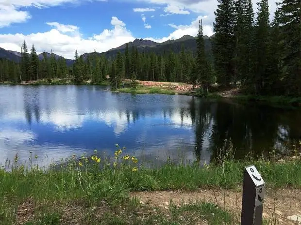 State Forest State Park Colorado Forest Campgrounds