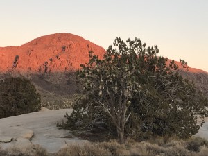 Sunrise Rock Desert Campgrounds 2